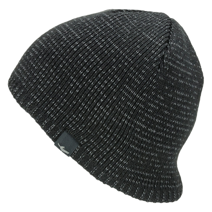 Waterproof Cold Weather Reflective Beanie for Men and Women