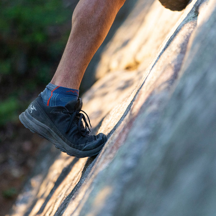 Mens No Show Lightweight Hiking Moisture Wicking Anti Blister Merino Socks