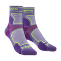 3-4,5 Royaume-Uni / Violet