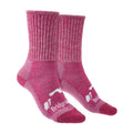 1-3 Vereinigtes Königreich / Rosa