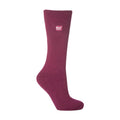 4-8 Royaume-Uni / Fuchsia profond / 1 paquet