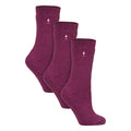 4-8 Royaume-Uni / Fuchsia profond / Pack de 3
