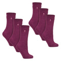 4-8 Royaume-Uni / Fuchsia profond / Paquet de 6