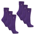 4-8 Royaume-Uni / Violet / Paquet de 6