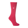 4-8 Royaume-Uni / Framboise / 1 paquet