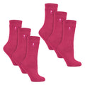 4-8 Royaume-Uni / Framboise / Paquet de 6