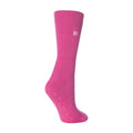 4-8 Royaume-Uni / Rose bonbon