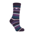 4-8 Royaume-Uni / Fantasia Purple