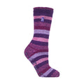 4-8 Royaume-Uni / Purple Stripe (Genévrier)