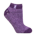 4-8 Royaume-Uni / Violet (Pise)
