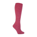 4-8 Royaume-Uni / Rose