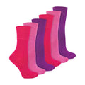4-8 Royaume-Uni / Rose