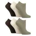4-8 Royaume-Uni / Kaki / Forêt / Crème / Gris