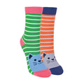 2-3 ans / Chatons
