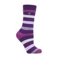 4-8 Royaume-Uni / Rayure violette (jasmin)