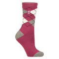 4-8 Royaume-Uni / Argyle rose