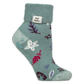 4-8 Royaume-Uni / floraison hivernale