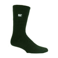 6-11 Royaume-Uni / Vert