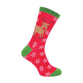 6-11 Royaume-Uni / Rudolph le Rouge
