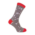 6-11 Royaume-Uni / Dalmatiens