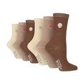 4-8 Royaume-Uni / Coquillages