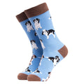 9-12 Royaume-Uni / Collie Poo (Bleu)