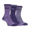 4-8 Royaume-Uni / Violet