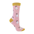 4-7 UK / Foxterrier