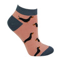 4-7 Royaume-Uni / Chiens saucisses (roses)