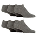 6-11 Royaume-Uni / Gris