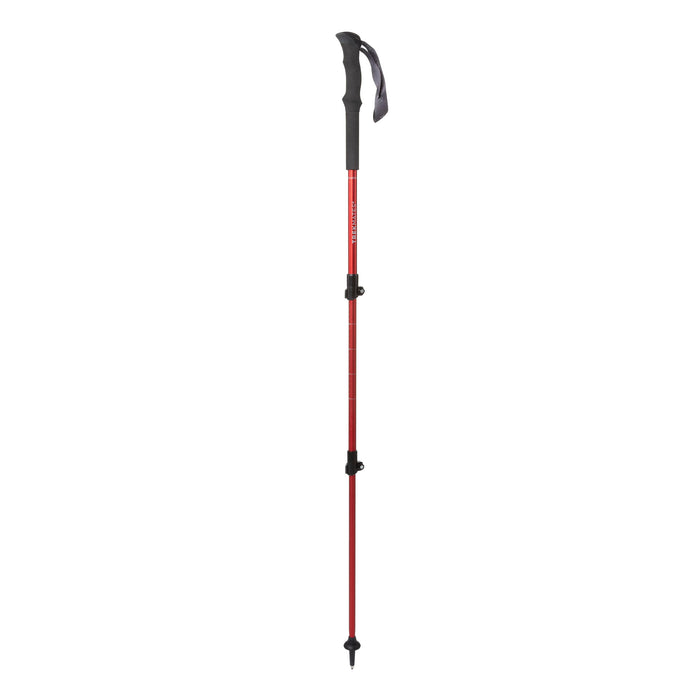 t4option1_0