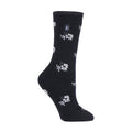 4-8 Royaume-Uni / Fleurs noires (Bellis) / 1 paquet