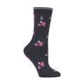 4-8 Royaume-Uni / Charbon floral (Bellis) / 1 paquet