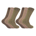 6-11 Royaume-Uni / WB Brown / Paquet de 6
