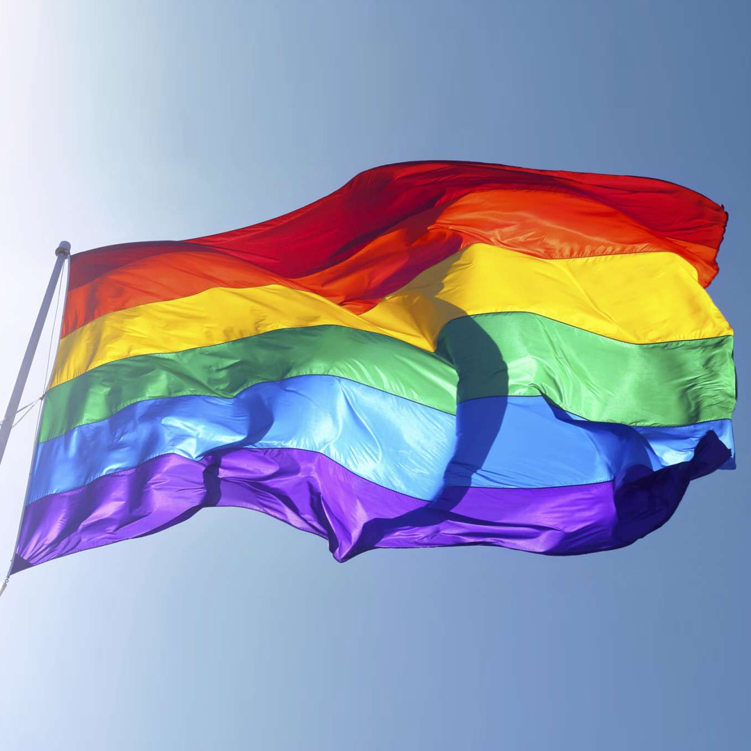 gay pride flag triangle
